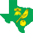 Lone Star Canary